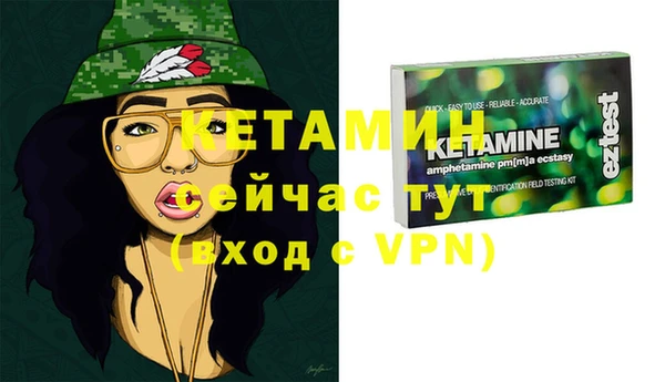 прущие грибы Горно-Алтайск
