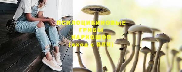 бутират Горнозаводск