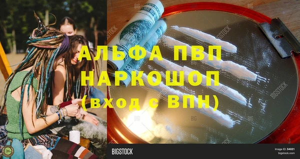 прущие грибы Горно-Алтайск