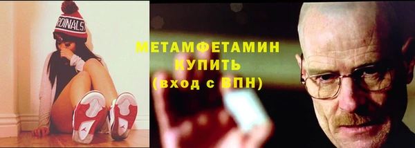 прущие грибы Горно-Алтайск