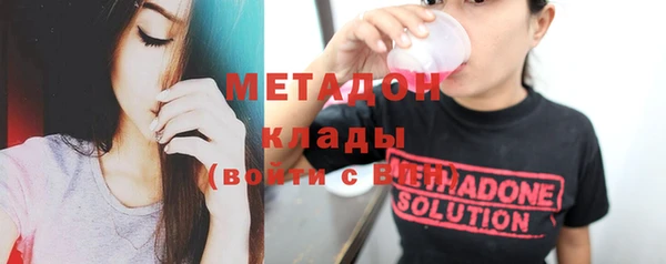 прущие грибы Горно-Алтайск