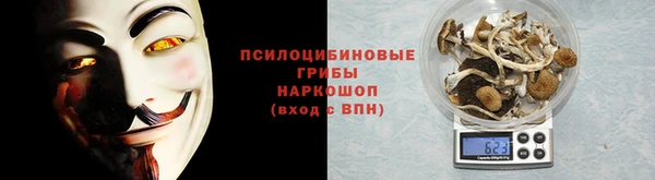 прущие грибы Горно-Алтайск