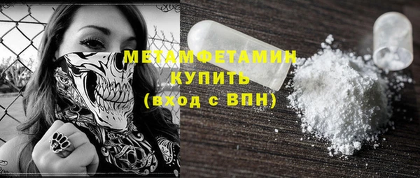 прущие грибы Горно-Алтайск