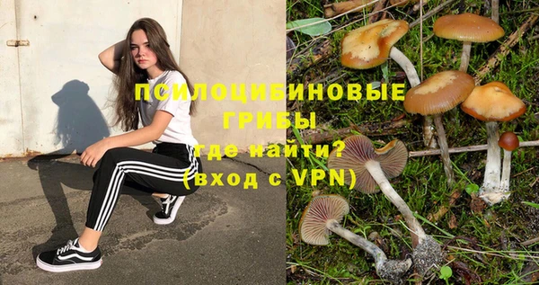 бутират Горнозаводск