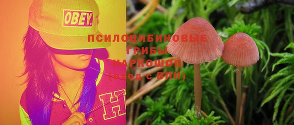 ПСИЛОЦИБИНОВЫЕ ГРИБЫ Гусь-Хрустальный