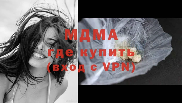 прущие грибы Горно-Алтайск