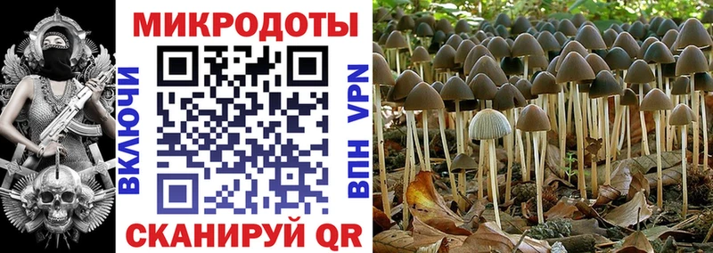 Галлюциногенные грибы MAGIC MUSHROOMS  Электрогорск 